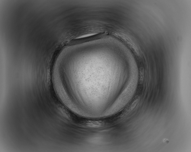 X0000087310457200705112120