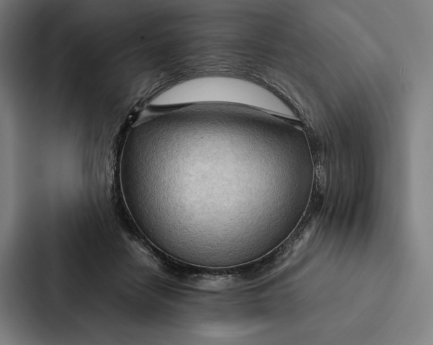 X0000087310458200705112120