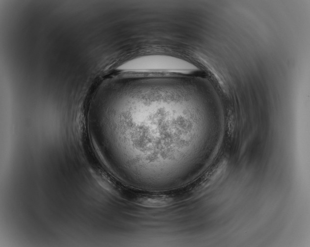 X0000087310459200705112120