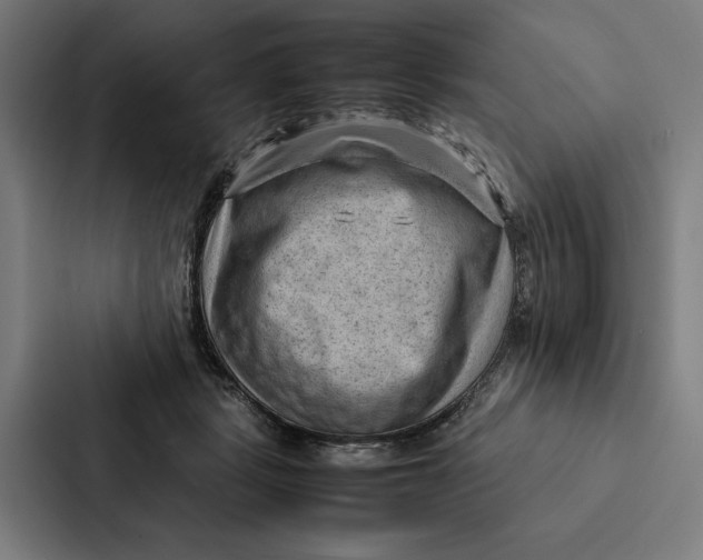 X0000087310461200705112120