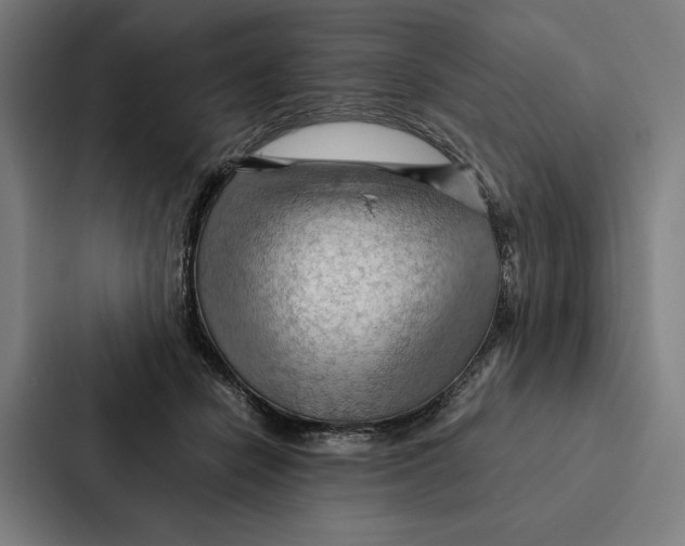 X0000087310462200705112120