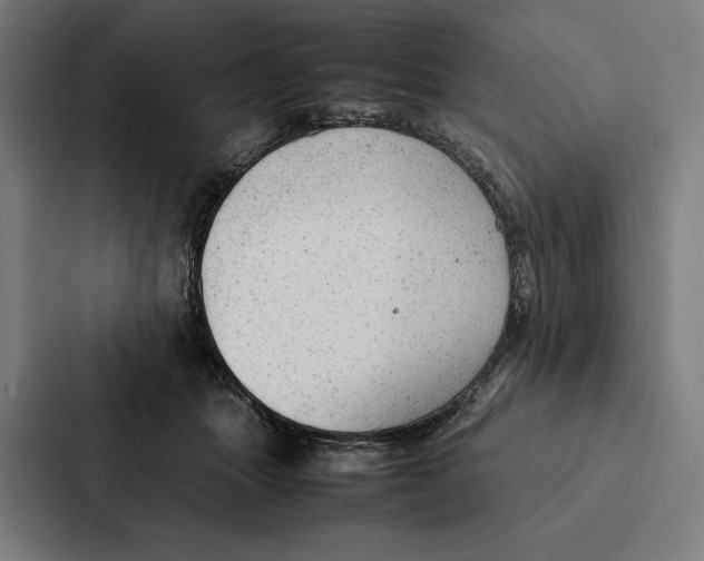 X0000087310463200705112120