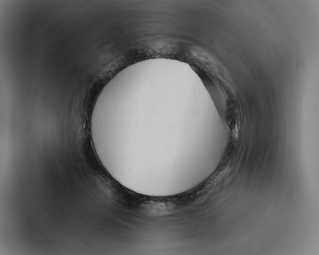 X0000087310464200705112120