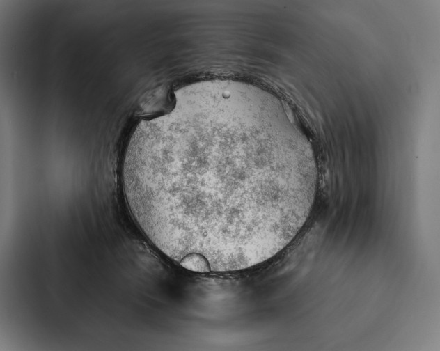 X0000087310466200705112120