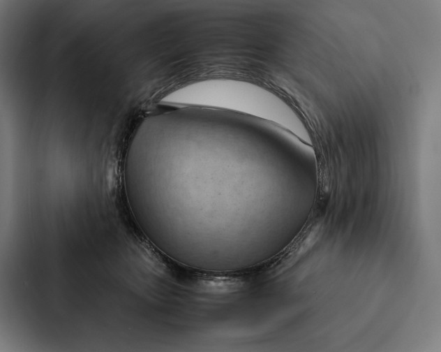 X0000087310467200705112120