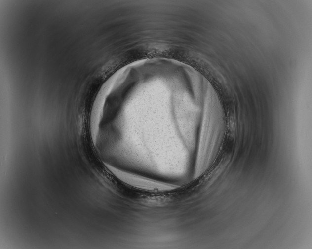 X0000087310468200705112120