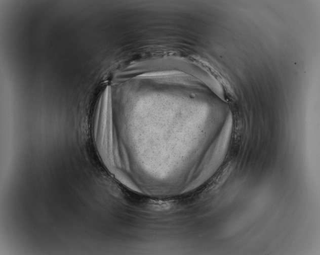 X0000087310469200705112120