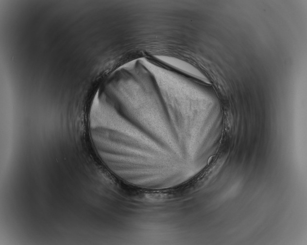 X0000087310470200705112120