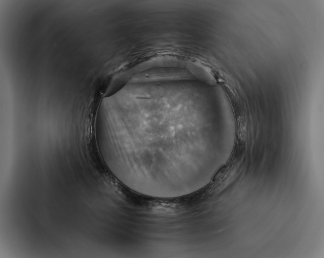 X0000087310471200705112120