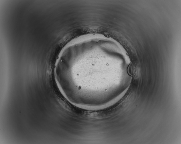 X0000087310472200705112120