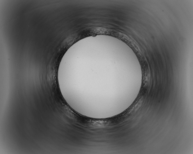 X0000087310473200705112120