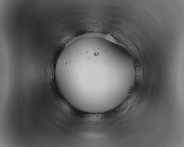 X0000087310474200705112120