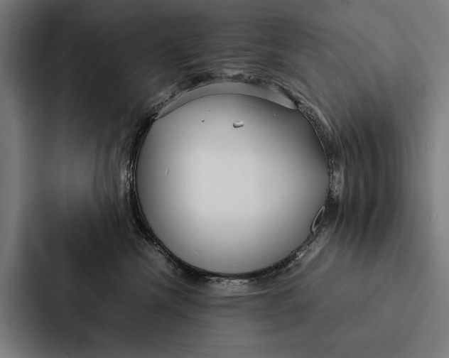 X0000087310476200705112120