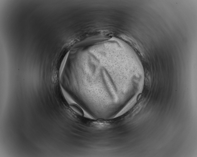 X0000087310477200705112120