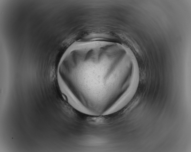 X0000087310478200705112120