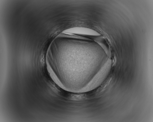 X0000087310479200705112120