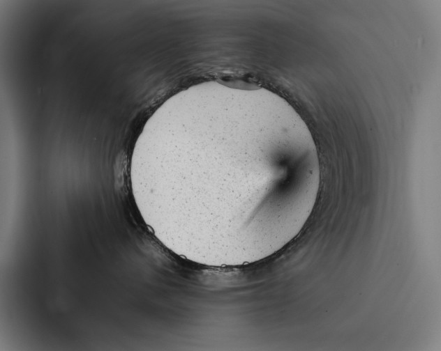 X0000087310480200705112120