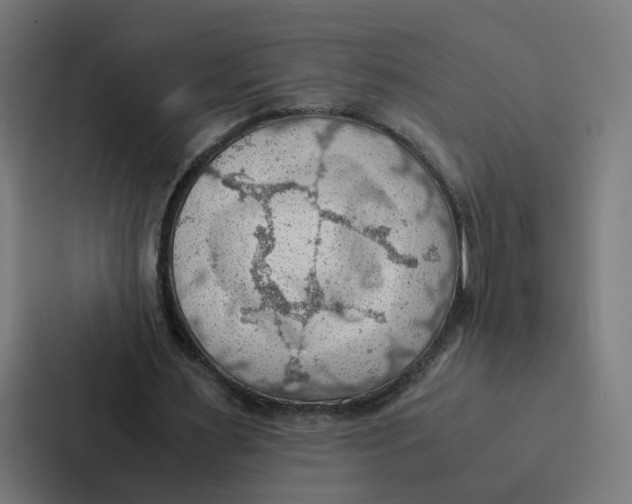 X0000087310483200705112120