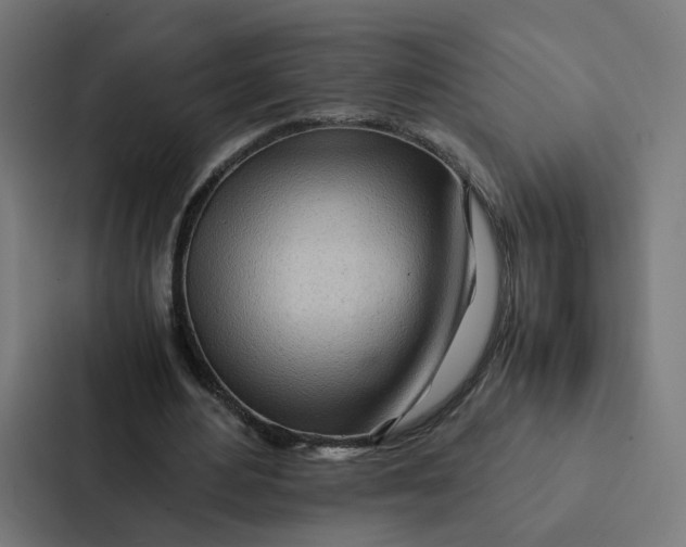 X0000087310484200705112120