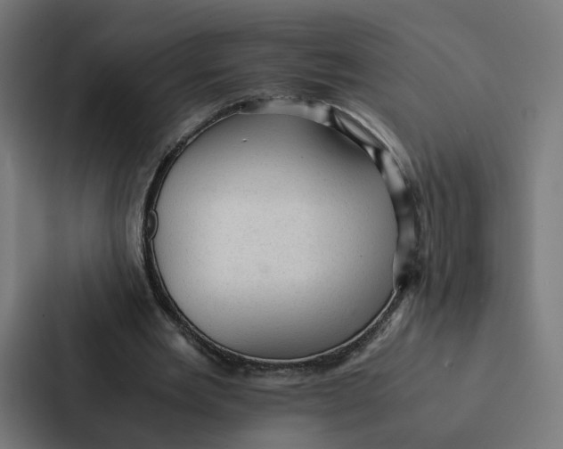 X0000087310485200705112120