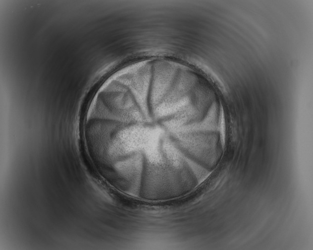 X0000087310486200705112120