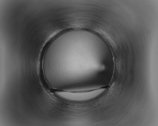 X0000087310488200705112120