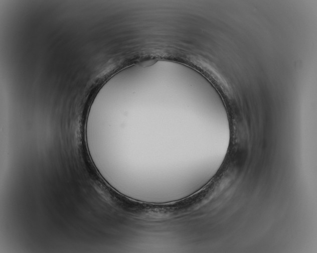 X0000087310489200705112120