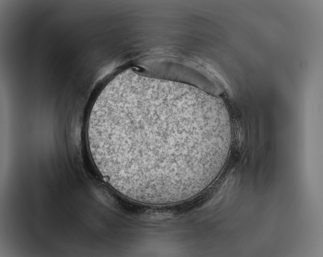 X0000087310491200705112120