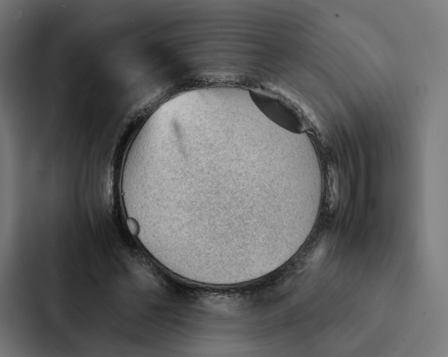 X0000087310494200705112120