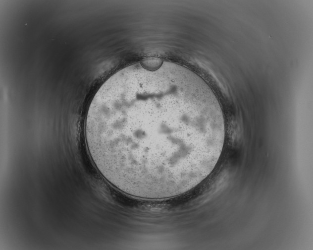 X0000087310495200705112120