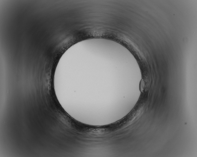 X0000087310497200705112120