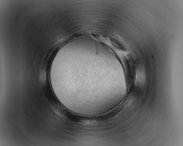 X0000087310500200705112120