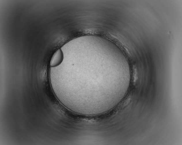 X0000087310502200705112119