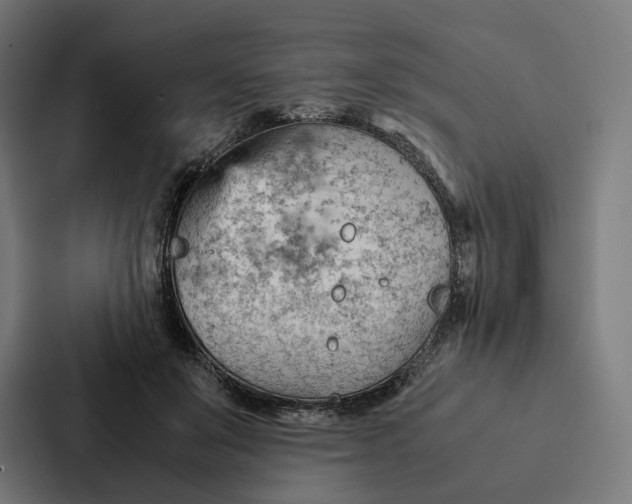 X0000087310503200705112119