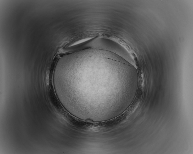 X0000087310504200705112119