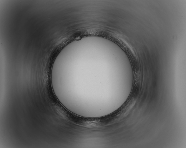 X0000087310505200705112119