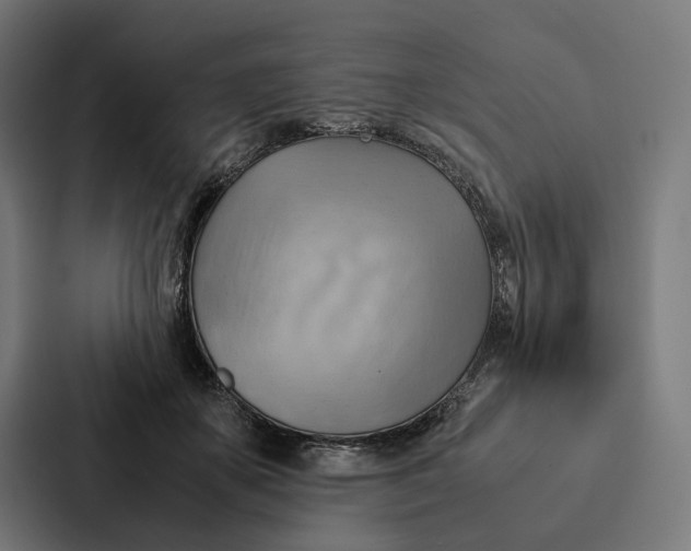 X0000087310507200705112119