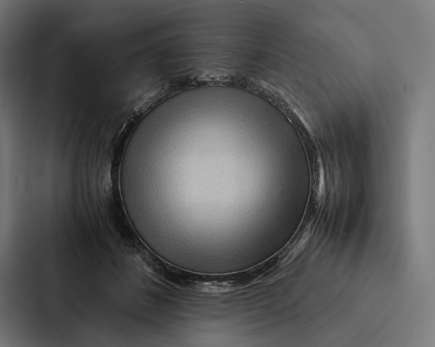 X0000087310508200705112119