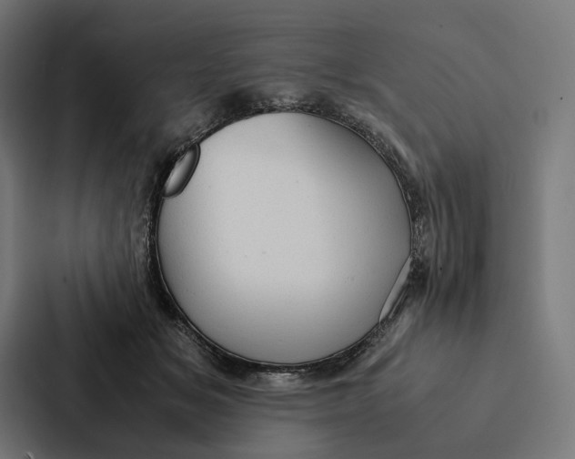 X0000087310509200705112119