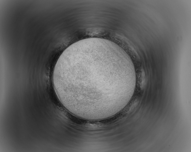 X0000087310510200705112119