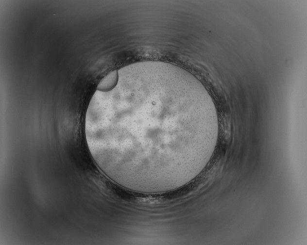 X0000087310511200705112119