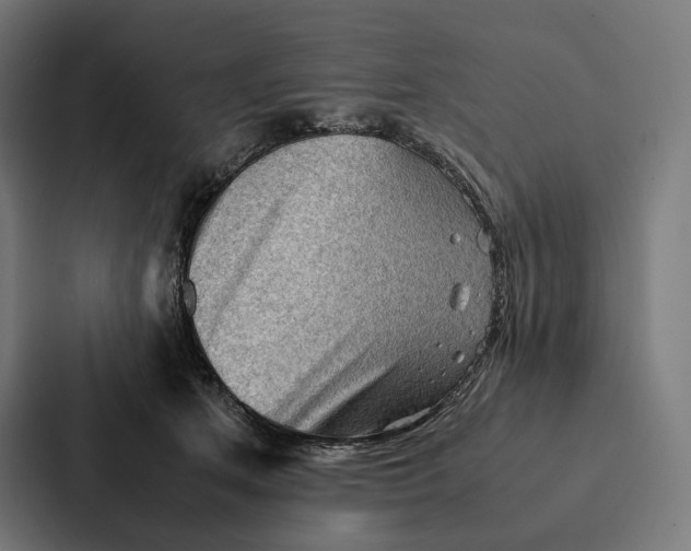 X0000087310513200705112119