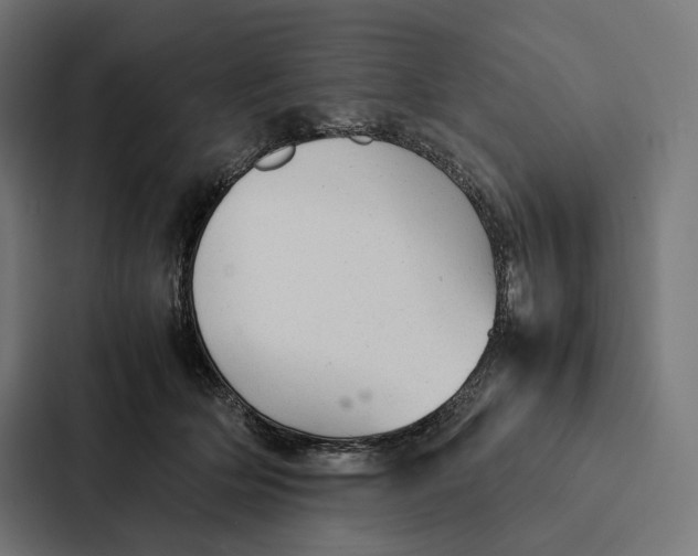 X0000087310514200705112119