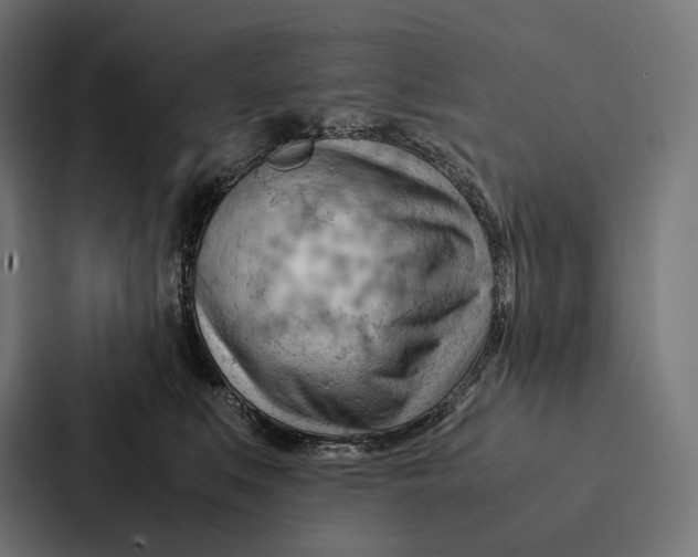 X0000087310519200705112119