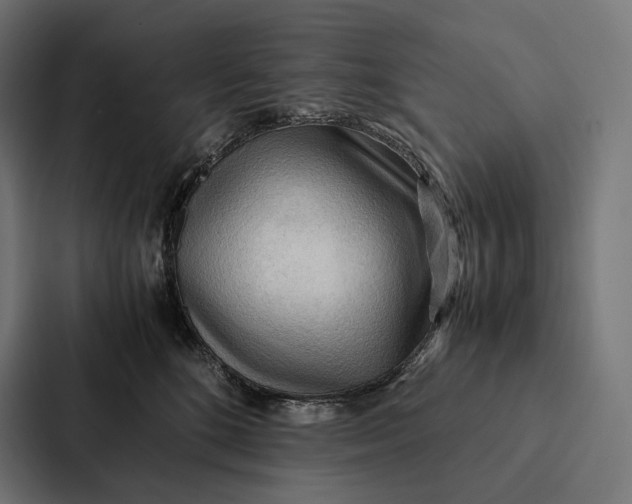 X0000087310520200705112119