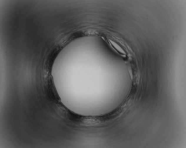 X0000087310521200705112119