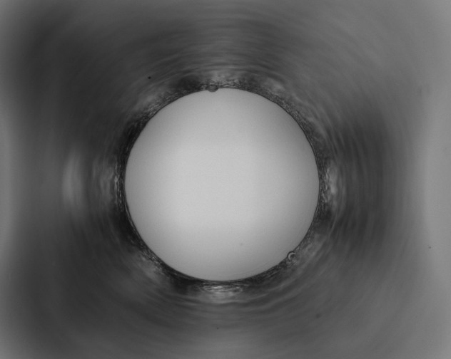 X0000087310522200705112119