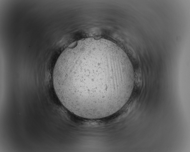 X0000087310523200705112119