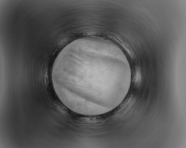 X0000087310524200705112119