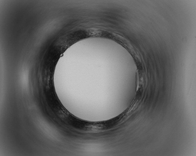 X0000087310525200705112119